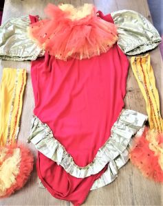 Kids Costumes to Hire - Leotard - Red & Gold